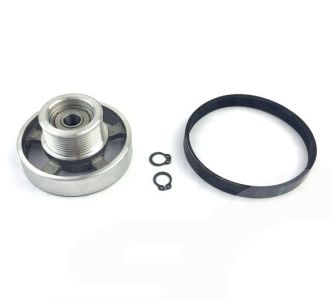 792356 F&P/Beko Pulley Motor Belt Recessed Bearing Kit 792356